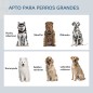Comedero para Perros