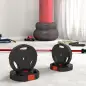 Juego de Discos Pesas de 4 Piezas 2x5 kg 2x2,5 kg con Orificios de 2,5 cm para Entrenamiento Fitness en Hogar Negro