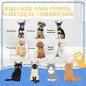 Cama para Mascotas Cama para Mascotas