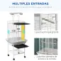 Jaula para Loros con Ruedas Perchas Comederos y Bandeja Extraíble Pajarera para Cacatúas Cotorras 62,5x62,5x156cm Blanco
