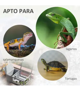 Casa para Tortugas