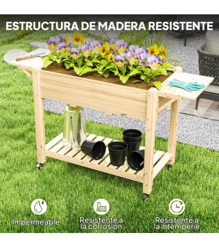 Huerto Urbano