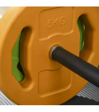 Barra de Pesas con 6 Discos de Pesos 1,5kg 2,5kg 5 kg para Entrenamiento Fuerza y Brazos 130x28x28 cm Multicolor