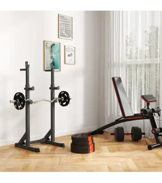 Juego de Discos Pesas de 4 Piezas 2x10 kg 2x5 kg con Orificios de 2,5 cm para Entrenamiento Fitness en Hogar Negro