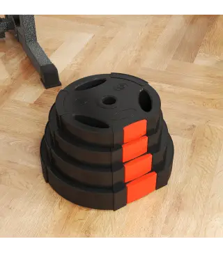 Juego de Discos Pesas de 4 Piezas 2x10 kg 2x5 kg con Orificios de 2,5 cm para Entrenamiento Fitness en Hogar Negro