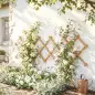 Enrejado de Jardín de Madera Extensible Soporte para Plantas Trepadoras Rosas y Parra 180x60 cm Marrón Claro