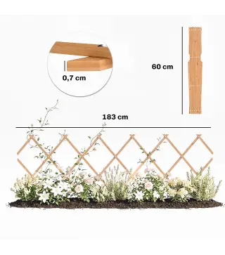 Enrejado de Jardín de Madera Extensible Soporte para Plantas Trepadoras Rosas y Parra 180x60 cm Marrón Claro