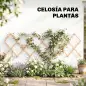 Enrejado de Jardín de Madera Extensible Soporte para Plantas Trepadoras Rosas y Parra 180x60 cm Marrón Claro