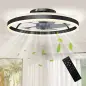 Ventilador de Techo con Luz LED 6 Velocidades Motor Reversible y Control Remoto Potencia 45W Ø50x13,5 cm Negro