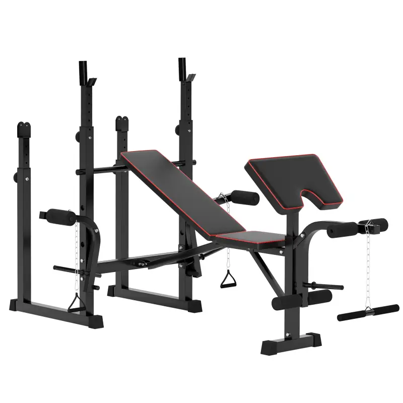 Banco de Pesas con Soportes para Barra y Respaldo Ajustable para Entrenamiento Completos de Cuerpo Negro