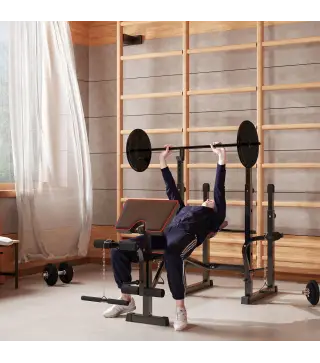 Banco de Pesas con Soportes para Barra y Respaldo Ajustable para Entrenamiento Completos de Cuerpo Negro