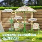 Conjunto Infantil Jardín