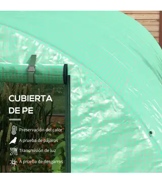 Invernadero de Túnel