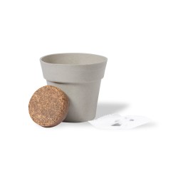 Maceta