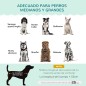 Sofá para Perros Sofá para Perros