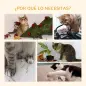 Árbol Rascador para Gatos de Suelo a Techo Torre para Gatos con Altura Ajustable 43x27x228-260 cm Gris Árbol Rascador para Gatos de Suelo a Techo Torre para Gatos con Altura Ajustable 43x27x228-260 cm Gris
