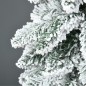 Árbol de Navidad Árbol de Navidad