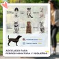 Cochecito para Mascotas Cochecito para Mascotas