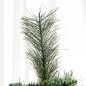 Árbol de Navidad Árbol de Navidad