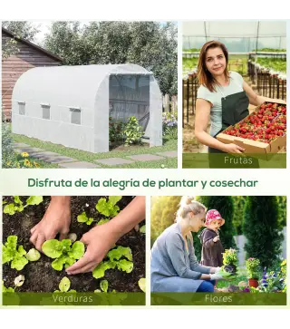 Invernadero de Túnel