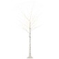 Árbol de Abedul Árbol de Abedul