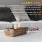 Chimenea de Etanol Chimenea de Etanol
