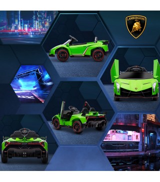 Coche Eléctrico
