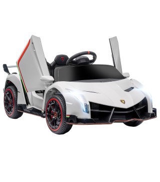 Coche Eléctrico