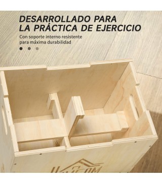 Caja Pliométrica