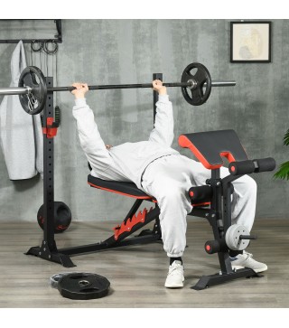 Banco de Musculación