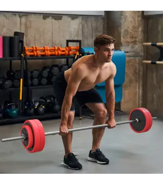 Set de Musculación con 1 Barra y 6 Discos Barra de Pesas 30 kg con Mancuernas para Entrenamiento 170x26x26 cm Rojo