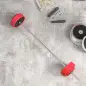 Set de Musculación con 1 Barra y 6 Discos Barra de Pesas 30 kg con Mancuernas para Entrenamiento 170x26x26 cm Rojo