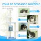Árbol para Gatos Árbol para Gatos