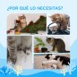 Árbol para Gatos Árbol para Gatos