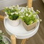 Soporte para Plantas