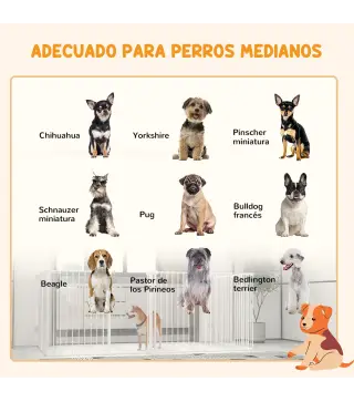 Parque para Perros