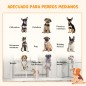 Parque para Perros