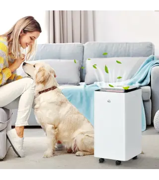 Deshumidificador Eléctrico 10L/día Depósito de Agua 2,5L con 5 Modos 2 Velocidades Temporizador 25x25x50,5cm Blanco