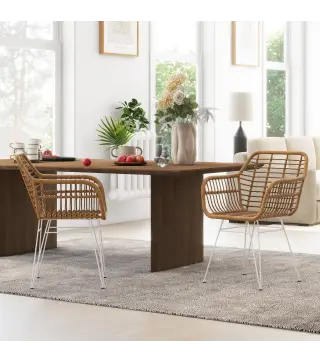 Set de 2 Sillas de Comedor Sillas de Cocina de Ratán PE con Patas de Acero para Salón Estilo Bohemio 56x60x79 cm Marrón