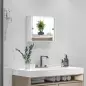 Armario con Espejo de Pared con Estante Ajustable y Puerta Corredera Doble para Lavabo 55x15x45 cm Blanco Brillante
