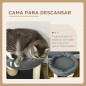 Árbol para Gatos Árbol para Gatos