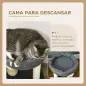 Árbol Rascador para Gatos Pequeño Torre para Gatos con Nido 4 Bolas y Poste de Sisal Carga 15 kg Ø40x48 cm Gris y Beige