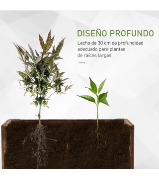 Jardinera