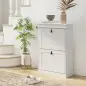 Zapatero Estrecho con 2 Puertas Abatibles y Estantes Ajustables para 10 Pares de Zapatos para Recibidor 54x24x82,5 cm