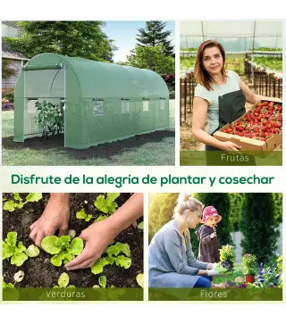 Invernadero de Túnel