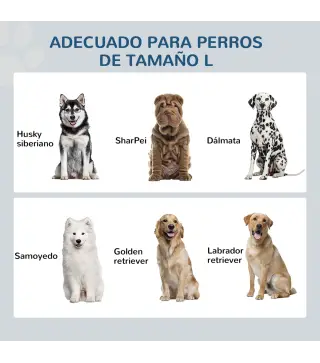 Comedero para Perros