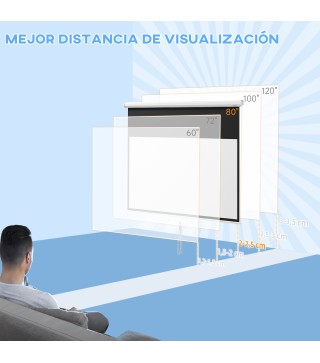 Pantalla de Proyector