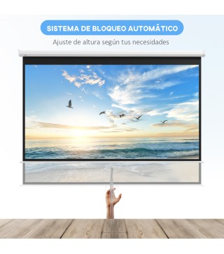 Pantalla de Proyector