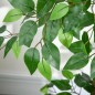 Planta Artificial Planta Artificial