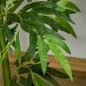 Planta Artificial Planta Artificial